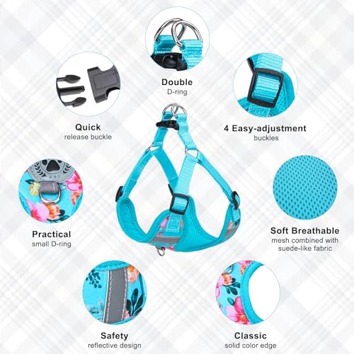 BEAUTYZOO Step in Dog Harness Collar and Leash Set - Image 4