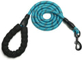 Dog Leash by Unknown