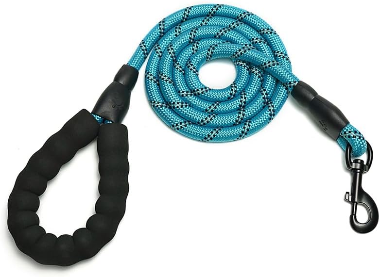 Dog Leash by Unknown