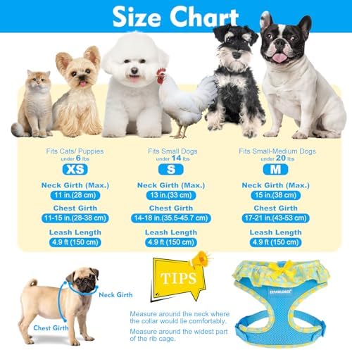 EXPAWLORER Step-in Dog Harness Small Sized and Leash Set - Image 2