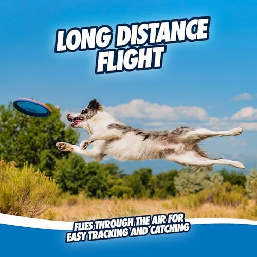Chuckit! Max Glow Paraflight Flying Disc Dog Toy, 1 Pack - Image 7