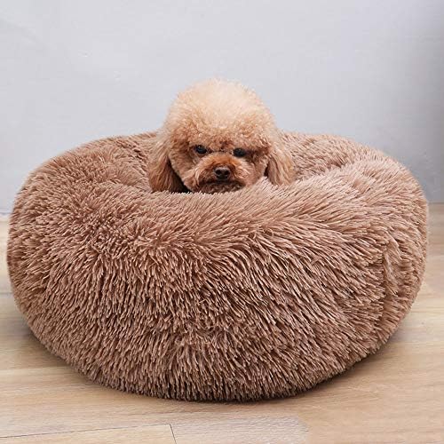 Cat Bed for Indoor Cats, Mini Plush Self Warming Kitten Bed, 20 Inch - Image 3