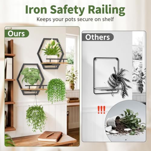 LASZOLA Plant Picture Frame Holder Shelf Wall Window Indoor - Image 3