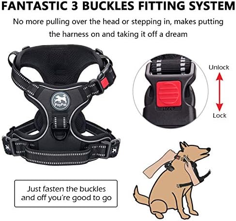 PoyPet No Pull Dog Harness Large - Image 2