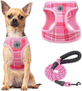BEAUTYZOO Small Dog Harness and Leash Set, Step in No Choke No Pull Soft Mesh by BEAUTYZOO