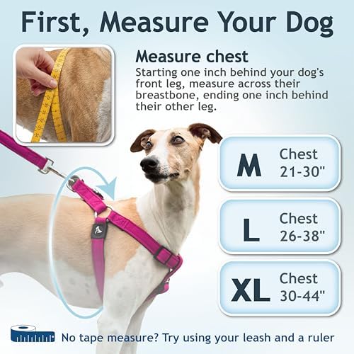 Kruz No Pull Dog Harness Heavy-Duty Pet Harness - Image 3