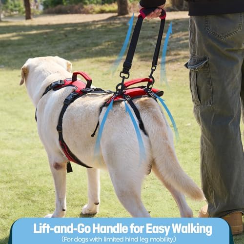 Dog Lifting Harness for Medium Dogs, Dual Handle Dog Support Harness for Daily - Image 2