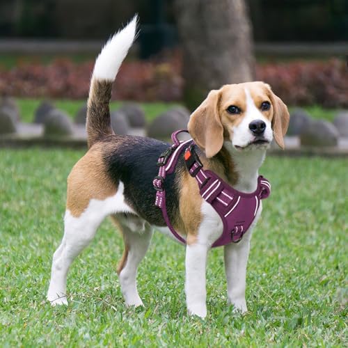 Timos Dog Harness, Front Clip No Pull Medium Sized - Image 6