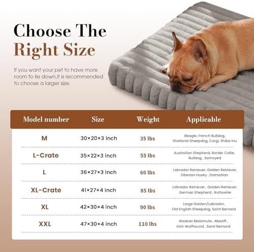 Large Orthopedic Dog Crate Bed - Image 5