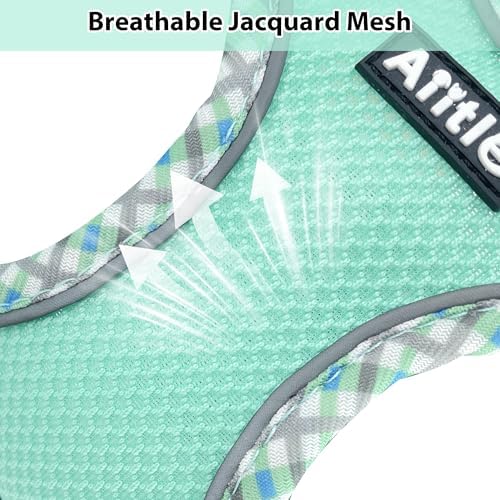 AIITLE Teacup Puppy Harness and Leash Set Escape-Proof, Turquoise S - Image 3