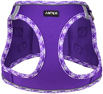 AMTOR Small Dog Harness with Leash Set, No Escape Easy Walk Puppy Harnesses - Image 2