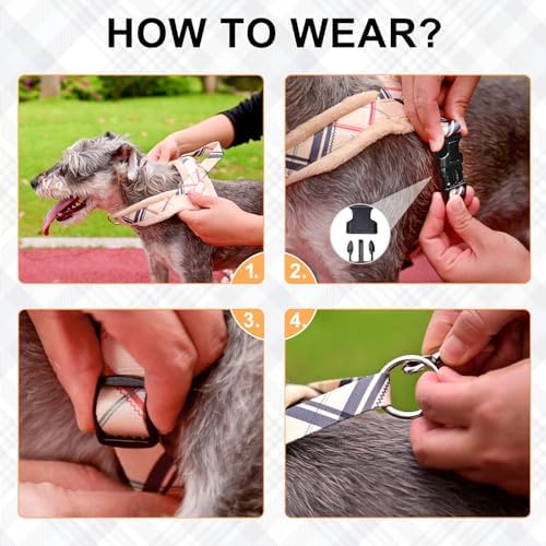 BEAUTYZOO No Pull Small Dog Harness and Leash Set, Soft Puppy Vest Harness - Image 6