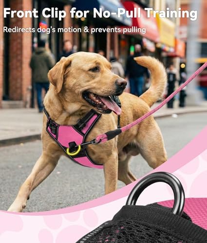 Joytale No Pull Dog Harness for Large Dogs, Front Clip - Image 2