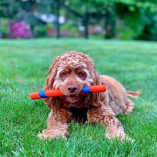 Chuckit! Ultra Fetch Stick Interactive Dog Toy, All Breeds - Image 2