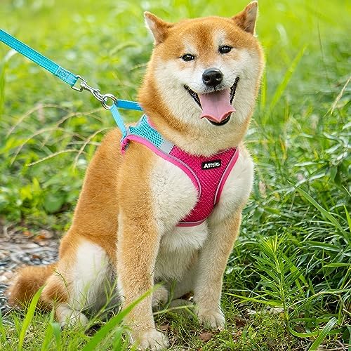 AIITLE Dog Harness and Leash Set, Step-in Puppy Pet Vest, Hot Pink XXXS - Image 2