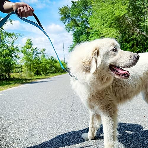 Joytale Dog Leash for Large Dogs that Pull, Double Handle - Image 4