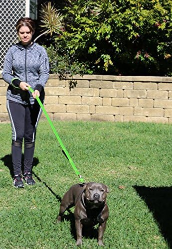 Primal Pet Gear Dog Leash 6ft Long, Traffic Padded Two Handle, Heavy Duty - Image 4