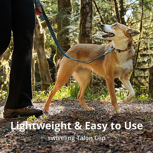 Ruffwear, Roamer Bungee Dog Leash, River Rock Green - Image 5