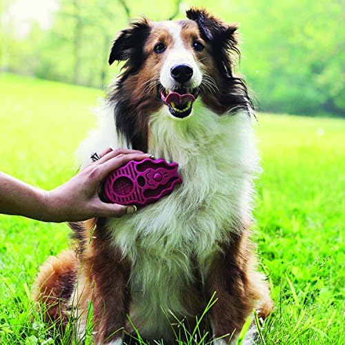 KONG - ZoomGroom - Dog Brush for Grooming and Shampooing - Blue Brush for Large - Image 2