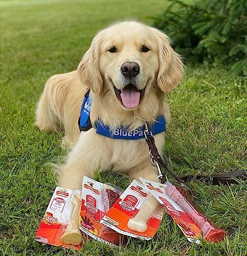 Nylabone Power Chew Original Bone Dog Chew Toy, Original Flavor - Image 2