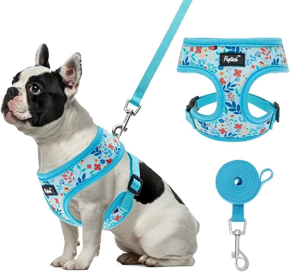 PUPTECK Small Dog Harness and Leash Set No Pull by PUPTECK