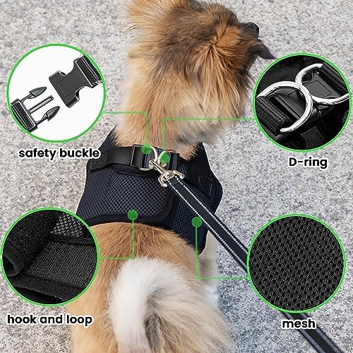 Dog Harness with AirTag Holder & 5 ft Leash Set - Image 5