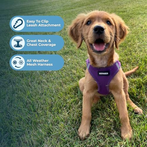 Best Pet Supplies Voyager Step-in Air All Weather Mesh Harness and Reflective - Image 6