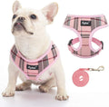 PUPTECK Small Dog Harness and Leash Set No Pull by PUPTECK