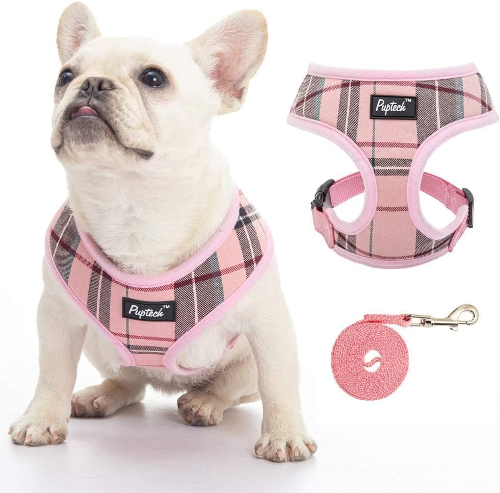 PUPTECK Small Dog Harness and Leash Set No Pull by PUPTECK