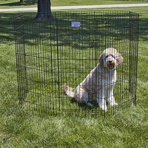 MidWest 48-Inch Exercise Pen, Single Door, 16 Sq Ft Play Area - Image 2