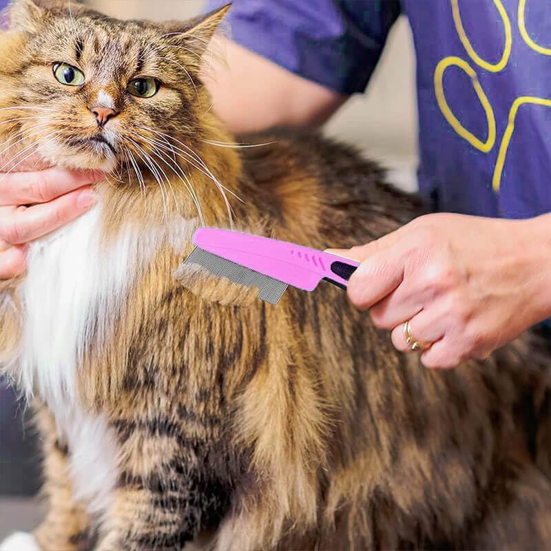 Flea Comb for Dogs and Cats, Fine-Toothed Pet Combs for Detangling or Dematting - Image 6