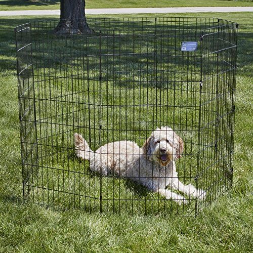 MidWest 48-Inch Exercise Pen, No Door, 16 Sq Ft Play Area - Image 2