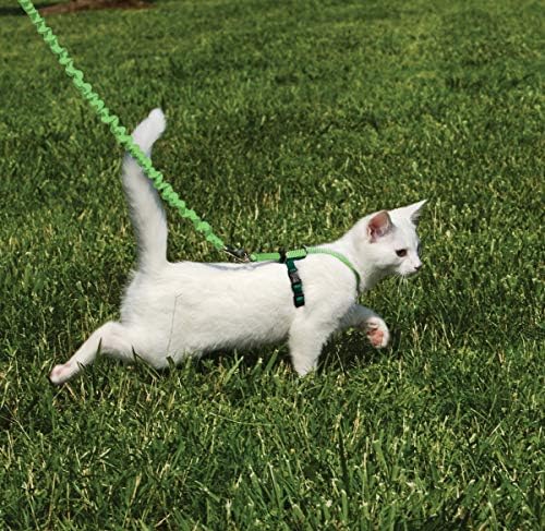 PetSafe Come with Me Kitty Harness and Bungee Leash - Image 3