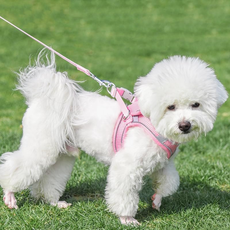 AIITLE Dog Harness and Leash Set, Step-in Puppy Pet Vest, Pure Pink XL - Image 4