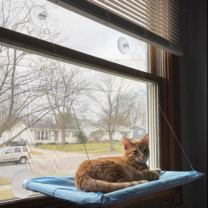 Blue Cat Hammock for Window, Cat Window Perch for Indoor Cats - Image 5