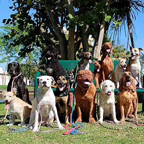 Mendota Pet Slip Leash - Image 7