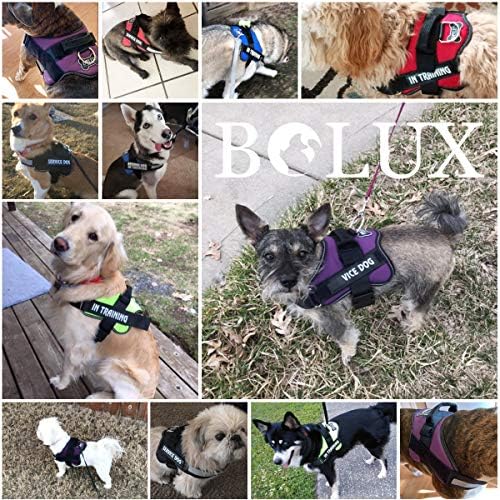 Bolux Dog Harness, No-Pull Reflective Dog Vest, Breathable Adjustable Pet - Image 5