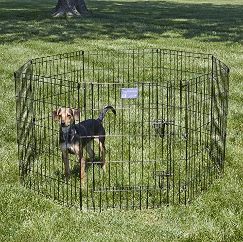 MidWest 30-Inch Exercise Pen, Single Door, 16 Sq Ft Play Area - Image 2