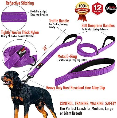Primal Pet Gear Dog Leash 6ft Long, Traffic Padded Two Handle, Heavy Duty - Image 2