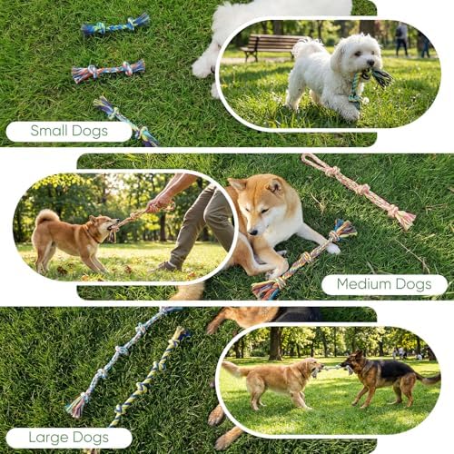 Aitmexcn Dog Rope Toys, 10 Pack Cotton Chew Tug Toys - Image 7