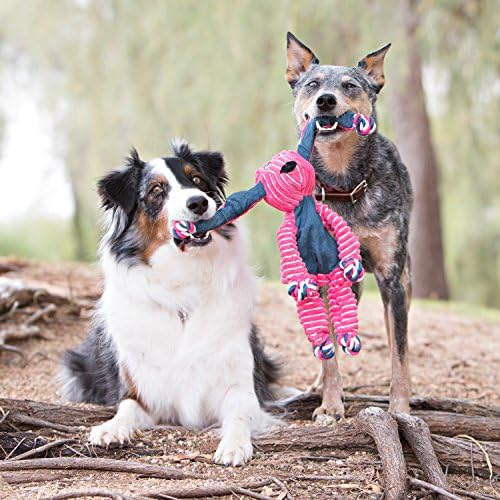 KONG Floppy Knots Rope and Plush Dog Toy, Medium/Large - Image 2