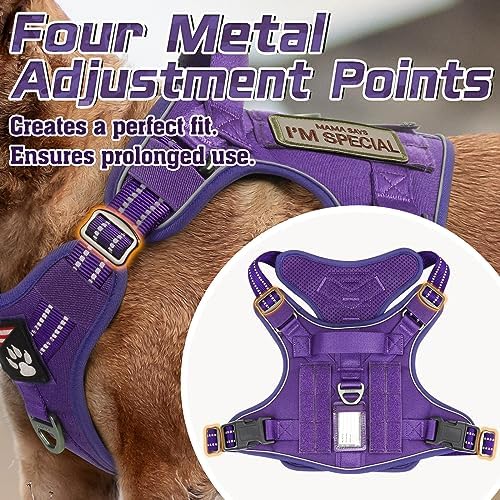 rabbitgoo Tactical Dog Harness for Small, No Pull Military Service Vest - Image 2