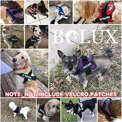 Bolux Dog Harness, No-Pull Reflective Dog Vest, Breathable Adjustable Pet - Image 4