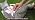 Tensho Red Bow Cat Harness and Leash Set, Escape Proof - Image 7