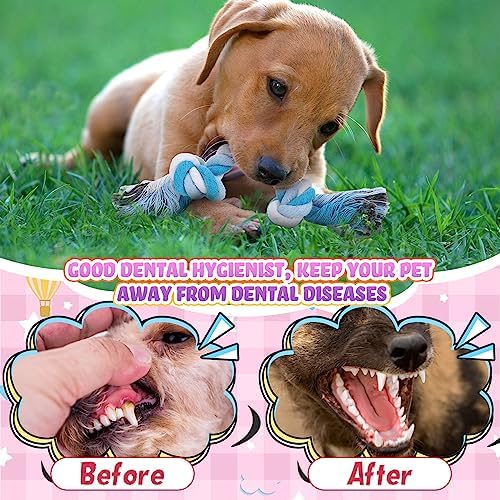 Paterr 12 Pcs Cotton Rope Toys for Small Dogs Puppy Teething - Image 5