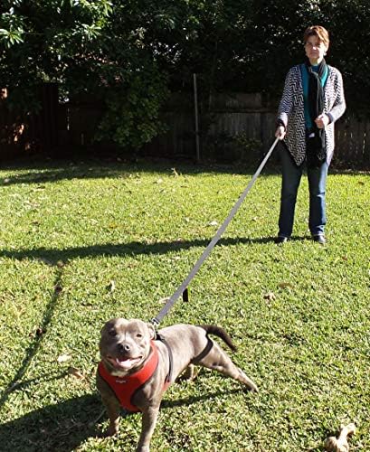 Primal Pet Gear Dog Leash 6ft Long, Traffic Padded Two Handle, Heavy Duty - Image 5