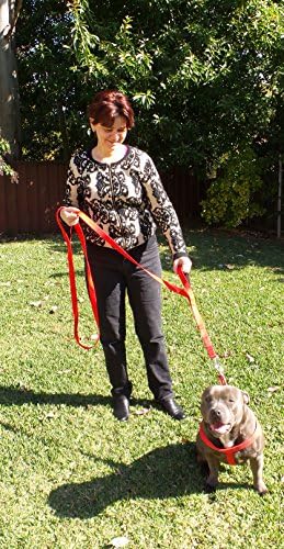 Primal Pet Gear Dog Leash 6ft Long, Traffic Padded Two Handle, Heavy Duty - Image 4