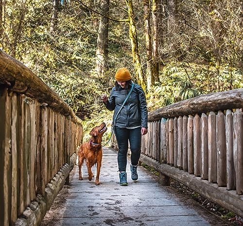 Kurgo Quantum 6 in 1 Dog Leash - Image 2