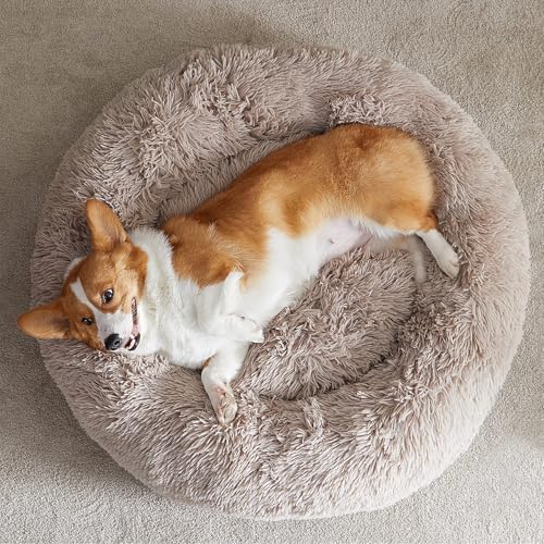 WNPETHOME Large Round Calming Dog Bed Cat Bed - Image 6