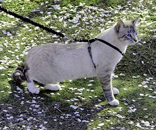 PetSafe Come With Me Kitty Harness and Bungee Leash, Harness - Image 2